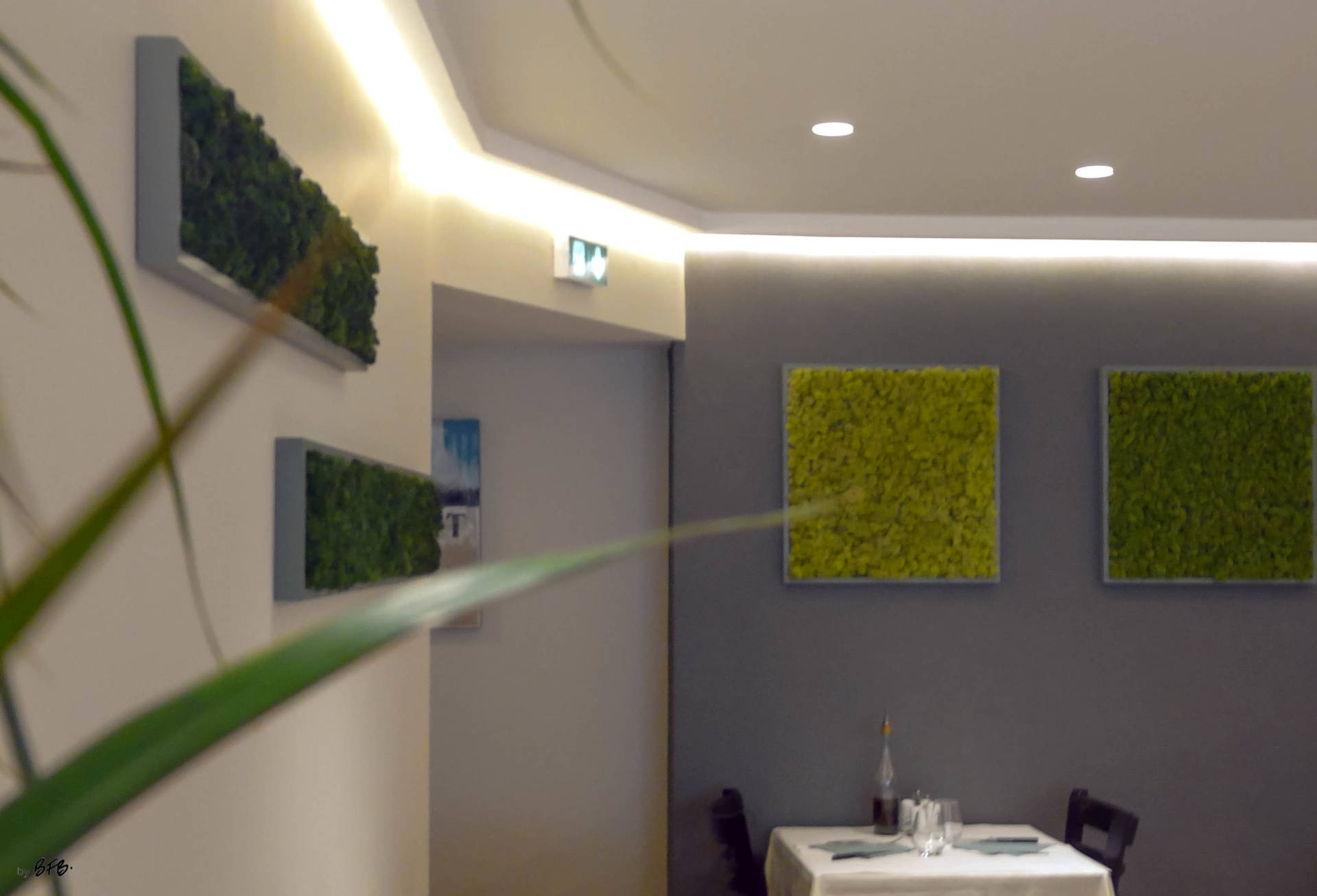 Restaurant pizzeria, Rostrenen, Bretagne, focus sur les tableaux en lichen stabilisés