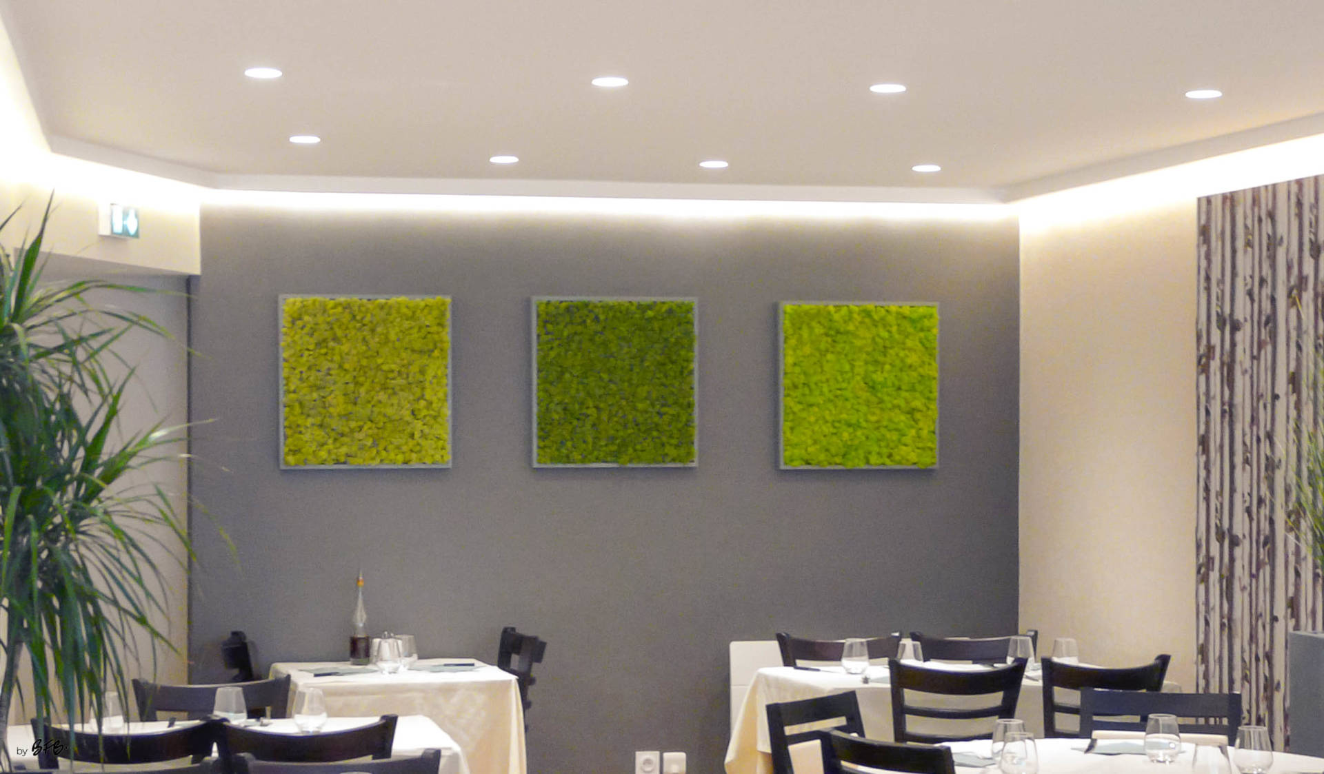 Relooking Restaurant pizzeria, Rostrenen, Bretagne, tableaux végétaux stabilisés en lichen de 3 couleurs